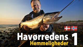 Havørredens Hemmeligheder 1  spin [upl. by Rip]