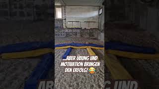 Das erste Spingtraining für Bellamie 🤩 minishetty [upl. by Park]