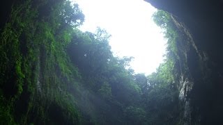 Parque De Las Cavernas CamuyHatilloLares Puerto Rico North America [upl. by Trescha]