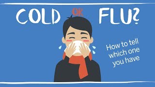 Cold vs flu symptoms How to tell if it’s influenza [upl. by Raman]