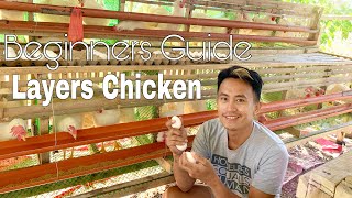 Layer Chicken Beginner’s guide  Mga dapat alamin sa pagaalaga ng manok [upl. by Haisi88]