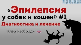 Эпилепсия у собак и кошек Диагностика и лечение Epilepsy in pets [upl. by Benedic]