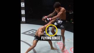 mighty mouse knockout by flying kne ufc mma ufcusa ufcamerica [upl. by Naesyar69]