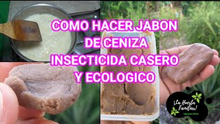 Como hacer Jabón Potásico FACIL en casa  INSECTICIDA CASERO HECHO CON CENIZAS ACEITE Y AGUA 🧼🧼🕷🐛🦟🦗 [upl. by Marlen]