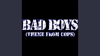 Bad Boys Theme from Cops [upl. by Annaitsirk]