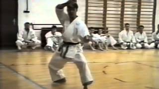 Kata Bassai Sho Takashi Tokuhisa karate kurs Rovinj Croatia 2001 [upl. by Alrac547]