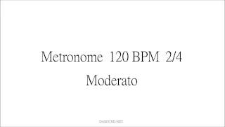 Metronome 120 BPM 24 Moderato [upl. by Ahtela]