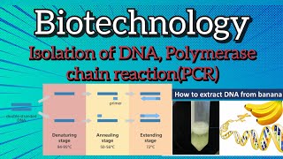 Polymerase chain reaction PCR l isolation of DNA biology [upl. by Nirag393]