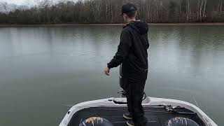 SURPRISE catch while BASS FISHING on Watts Bar Lake  GIANT FISH [upl. by Eirlav]