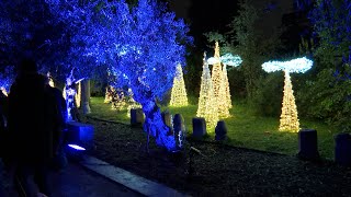 Naturaleza encendida vuelve a iluminar el Jardín Botánico [upl. by Assyli]