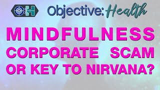 Mindfulness  Corporate Scam or Key to Nirvana [upl. by Carew]