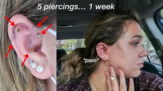 Getting Five Piercings in One Week  Helix Conch Forward Helix Flat amp Rook [upl. by Shay78]