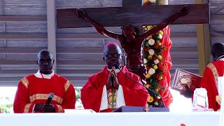 Uganda Martyrs Namugongo 2017 celebration mass [upl. by Aehtna]