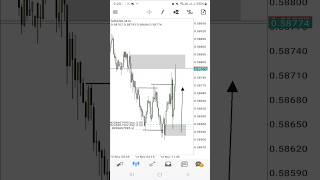 SCALPING en VIVO NZDUSD trading oro forex scalping futuros acciones smartmoney tradingforex [upl. by Stedt]