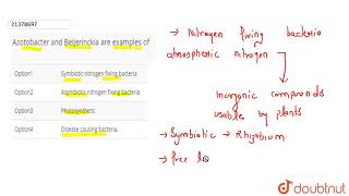 Azotobacter and Beijerinckia are examples of [upl. by Whitney]