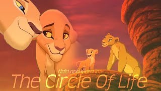 The Lion King  quotCircle of Lifequot Official Clip [upl. by Navannod989]