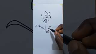 How To Draw Daffodil flower shorts drawing daffodil [upl. by Ula]