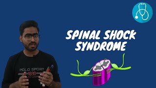 Spinal Shock Syndrome  SPINAL CORD SYNDROMES  URDU \ HINDI [upl. by Imak]