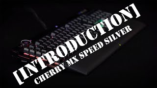 INTRODUCTION CORSAIR K100 RGB with CHERRY MX RGB SPEED SILVER [upl. by Tiffy]