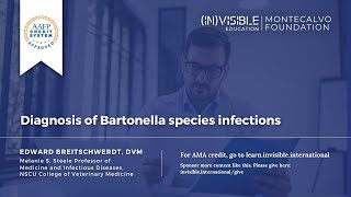 Diagnosis of Bartonella Species Infections [upl. by Gusti218]