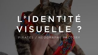 Cest quoi une identité visuelle [upl. by Hasile748]