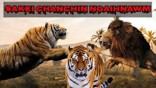 SAKEI CHANCHIN  PANTHERA TIGRIS [upl. by Oinegue]