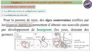 Chapitre4Partie1  Reproduction Asexuée  Multiplication Végétative Tronc Commun Sciences BIOF [upl. by Eiramave]