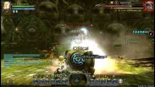 Dragon Nest Shooting Star LV 50  Gigantes Nest [upl. by Nerro]