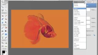 How to Use Layers in Photoshop Elements 12  Part 5  Using Blending Layers in PSE 12 [upl. by Odyssey818]