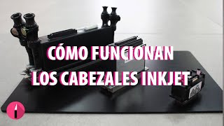 🔴 Cómo FUNCIONAN los CABEZALES INKJET térmicos y piezoeléctricos [upl. by Call]