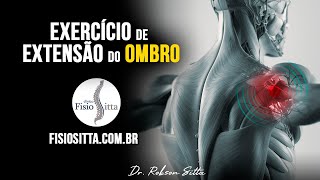 EXERCÍCIO EXTENSÃO do OMBRO com BASTÃO AMPLITUDE DE MOVIMENTO ADM Fisioterapia Dr Robson Sitta [upl. by Ahterahs]