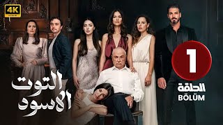 المسلسل التركي مدبلج  التوت الأسود  الحلقة 1 Arabic Dubbed  جودة عالية 4K [upl. by Kriss116]