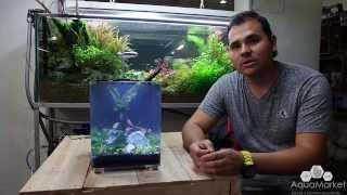 Dymax IQ5 Unboxing Montaje de nano acuario plantado [upl. by Eiramoj392]