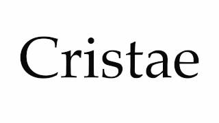 How to Pronounce Cristae [upl. by Akemit]