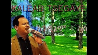 Kaleab Tsegaye endihm ale amazing spritual mezmur with lyrics [upl. by Tenenbaum]