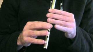 The Rambling Pitchfork  Intermediate Tin Whistle [upl. by Kanor553]