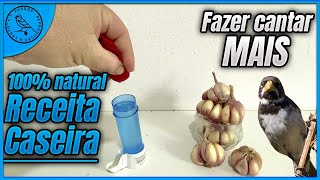 FAZER CANTAR MAIS RECEITA CASEIRA NATURAL [upl. by Other93]