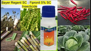 Bayer Regent SC  Fipronil 5 SC  Insecticide  Complete information [upl. by Mowbray589]