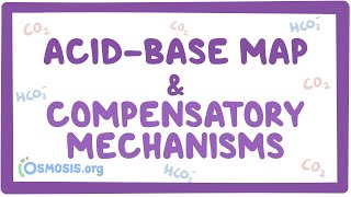 Acidbase map and compensatory mechanisms [upl. by Tamarra880]