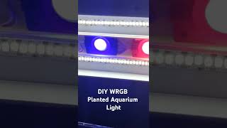 DIY WRGB Aquarium Light  മലയാളം [upl. by Eterg]