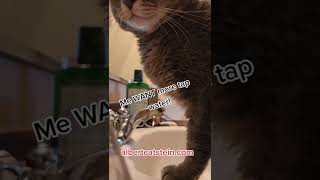 We used tap water to socialize Izzy [upl. by Aseeram]