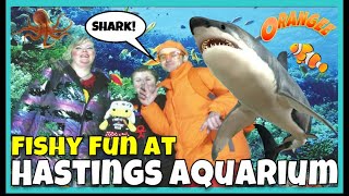 Hastings Aquarium 🐡 🐠 🐟  Blue Reef  Sea Life Centre  Fish  Sharks 🦈😲 Kids Fun Video [upl. by Ennyroc]