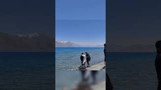 Pangong tso lake Ladakh [upl. by Lorena]