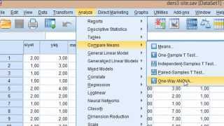 spss tek yönlü anova analizi [upl. by Notak]