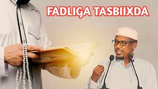 FADLIGA TASBIIXDA SHMUSTAFE XAAJI ISMAACIIL HAARUUN [upl. by Atiuqad507]