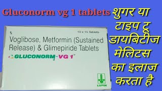 Gluconorm vg1 tablets  compositionusesdose and side effects [upl. by Tehc]