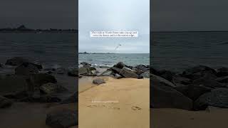 Plum Island Beach and Lighthouse [upl. by Christoforo]