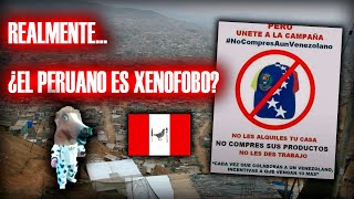 🇵🇪 LA SUPUESTA XENOFOBÍA QUE ACUSAN AL PERÚ  Opinando de lo que pasó en el Partido con Venezuela [upl. by Suidaht]