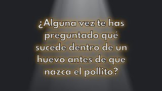 El Patio Crianza y Producción  ¿Qué es el ovoscopio [upl. by Jesse41]