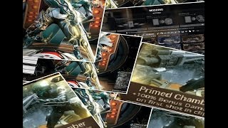 Warframe Primed Chamber Vectis Riven Build [upl. by Llain]